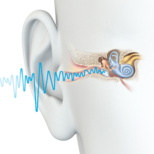 Your hearing is our priority. Our professional and friendly team provide prompt, appropriate and affordable solutions.