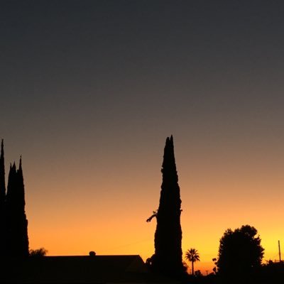 Ann11153922's profile picture. Proverbs 3:5-6