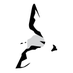 Alula designs UK (@alulauk) Twitter profile photo Alula designs UK (@alulauk) Twitter profile photo