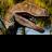 R_Gonz20's profile image