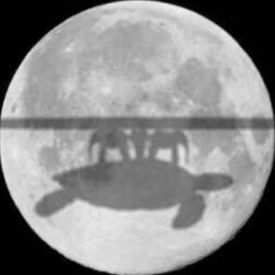 AnonymousTips6's profile picture. (;