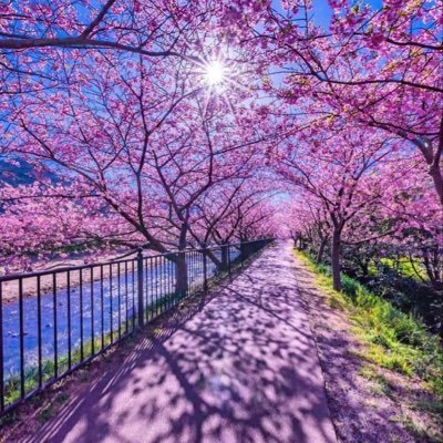 LOVEGANG19's profile picture. Learning Our Value Everyday 💜 #mindfulness #spirituality #love #selflove #createdforgreatness #journey #destination #vision #gutfeelings #lovegang💜