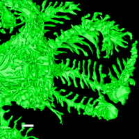 Podocyte2021 (@podocyte2021) 's Twitter Profile Photo Podocyte2021 (@podocyte2021) 's Twitter Profile Photo