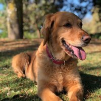 Hebe (@mellamohebe) 's Twitter Profile