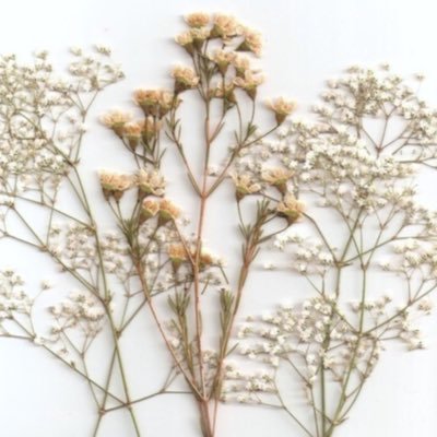 CosartDanni's profile picture. 