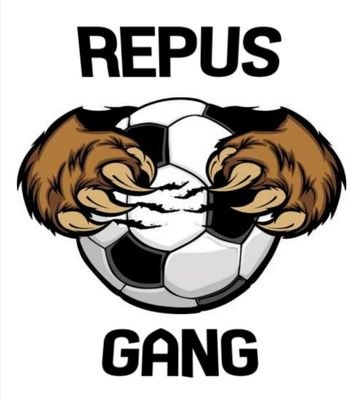 repusgang's profile picture. Equipo Pro. compitiendo en VFO, VPG y VPN. Buen ambiente y calidad en el juego.