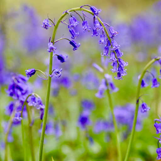 An exciting research project monitoring the effects of climate and weather on our wildlife: Visit our website to get involved!