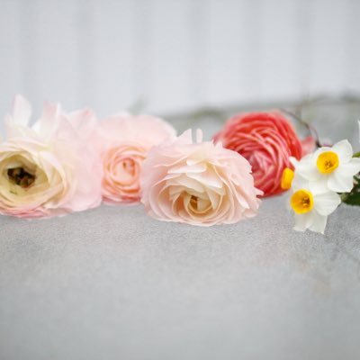24.07産まれ、25.04保育園入園、25.05社会復帰。友達少ないし、家族遠方。話しかけてもらえるとうれしいです。日常はインスタストーリーズに駄々流し🫥ムチムチクリクリ天パベビー https://t.co/9ySJL00hik