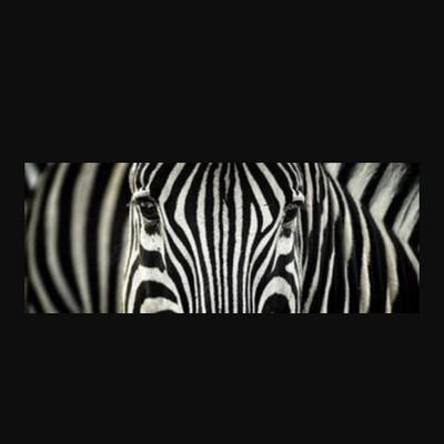 🦓 Regardez très attentivement 🦓 faites passez le message 🦓 https://t.co/6YpWSKYOvw