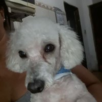 Janaína (@janaborges3) 's Twitter Profile