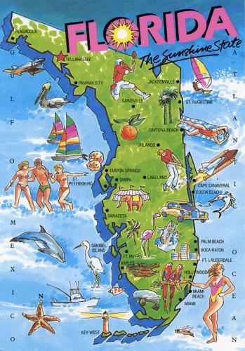 CrazyFlorida's profile picture. Florida, identity theft capital of the US, is home to thousands of DUI offenders, transient criminals, drug addicts and complete idiots. This is their story...
