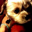 Daisy Giles - @daisywoof - Twitter