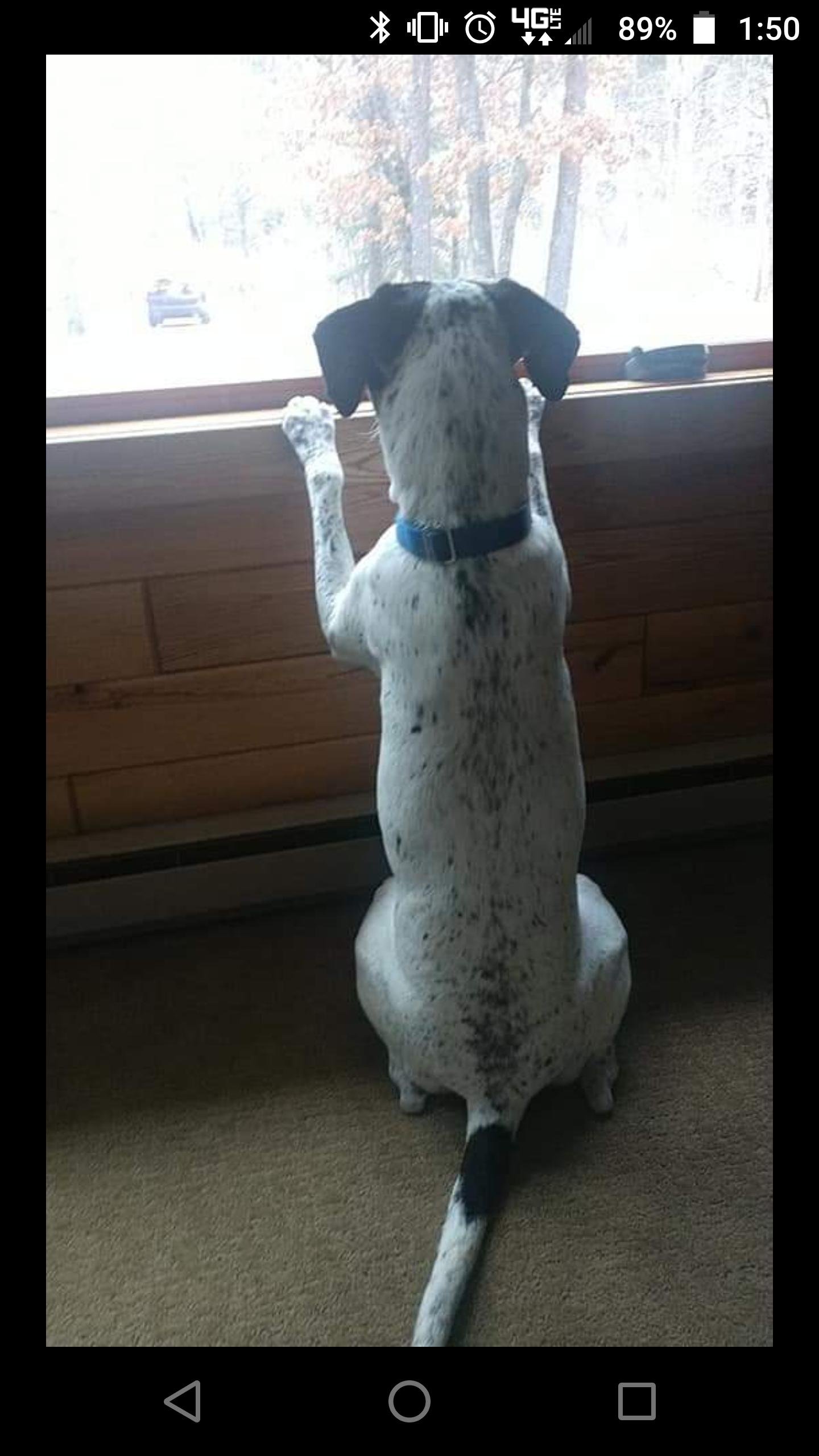 GPerttula's profile picture. 