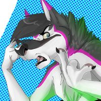 Dog™️🔜LVFC (@cj_thehusky) 's Twitter Profile Photo