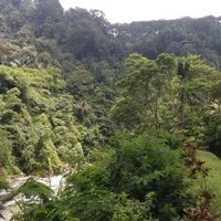 bambang.Aji (@bambang64249812) 's Twitter Profile