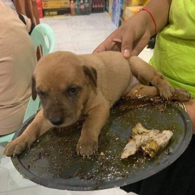 Meen_Matsaya's profile picture. Dracarys / GOT / MUFC