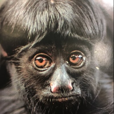 ghnn1's profile picture. Pictures