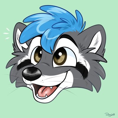 Dash Raccoonさんのプロフィール画像