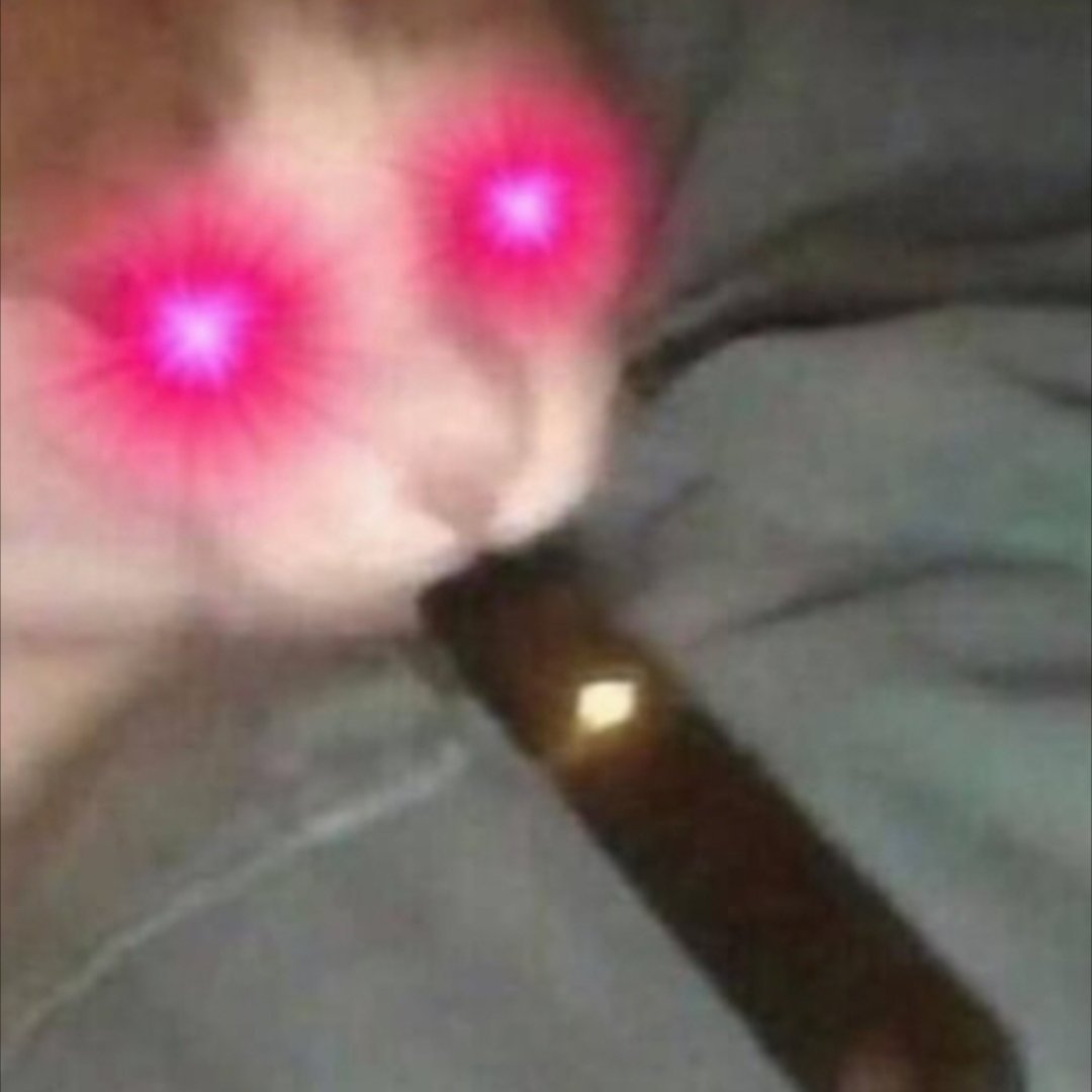 theshatpoost's profile picture. welcome to my page, I must've pissed you off 😘😘

Never been ratio'd never take L's
If you block me I win

Never support the Dems or the Repubs!