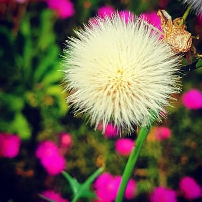 FobertSony's profile picture. J'adore la nature et m éclater