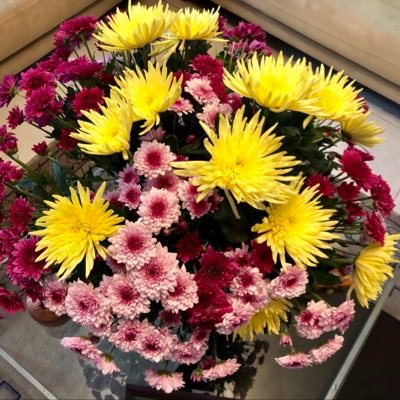 rose_tiamson's profile picture. 