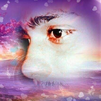 MonirHo53879955's profile picture. i am muslim theis is my id