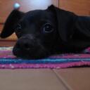 Nicole - @NicoleApplePie - Twitter