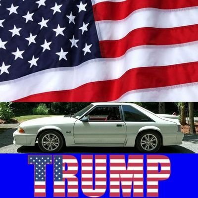 🇺🇸 I Thank God Everyday For President Trump 🇺🇸 
#ProGod #ProLife #AmericaFirst
🇺🇸I proudly support our Military and Law Enforcement🇺🇸
#FordMustang #MAGA