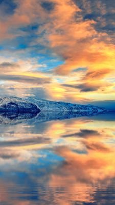 Black90681793's profile picture. 