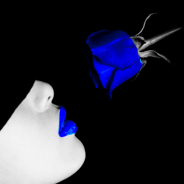 MAMORU36's profile picture. 