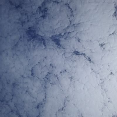 RTB304's profile picture. 