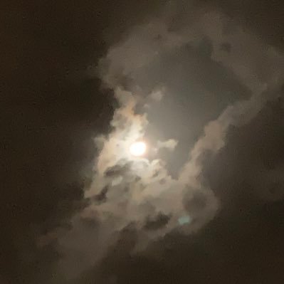 onefiftynine1's profile picture. nope