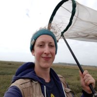 Kate Davidson - @KateD_Ecol Twitter Profile Photo