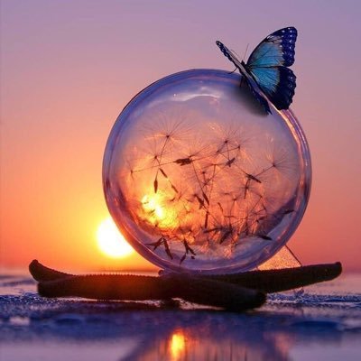 Aishaisyaku1's profile picture. News Local News World News Sports Football All Sports Music International Music Local Music International Music Local Music Government Local Musical