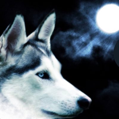 happier_trade's profile picture. $GVT Daily Fx Pro Trader. https://t.co/fX6WAGZkih…