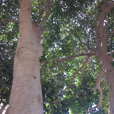 BenStan40424593's profile picture. 