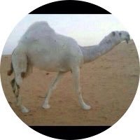 سبحان الله وبحمده سبحان الله العظيم