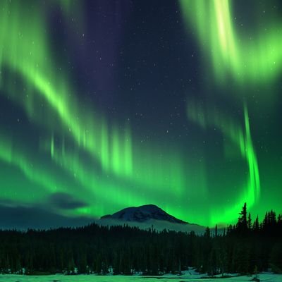 piXQnP3Nl853SzC's profile picture. テレンスリー