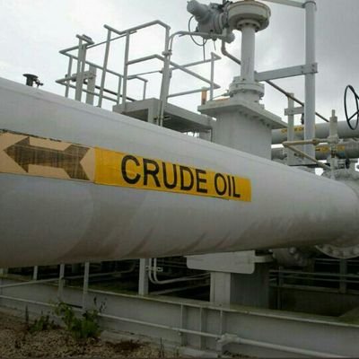 MisheckMoyo17's profile picture. Looking up & out.