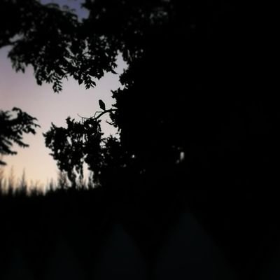 eu_MarGar91's profile picture. Técnico Superior de Laboratorio de Diagnóstico Clínico. Tecnóloga de los alimentos. Que la comida sea tu mejor alimento y el alimento tu medicina.