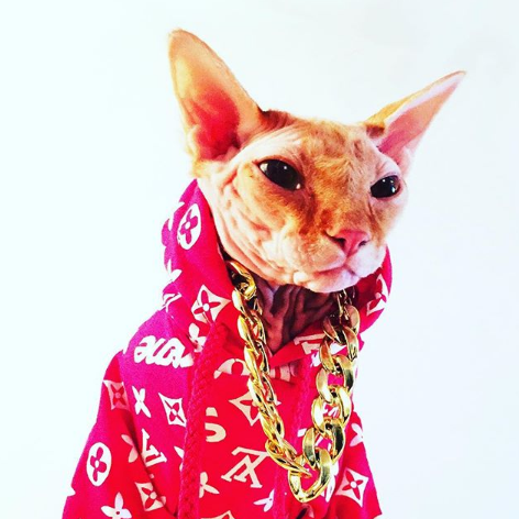 silvywavy's profile picture. 