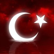 Sosyal Muhalefet (@sosy0log) 's Twitter Profile Photo