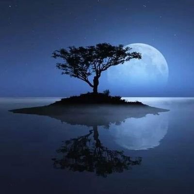 NururunDou's profile picture. 神はいない