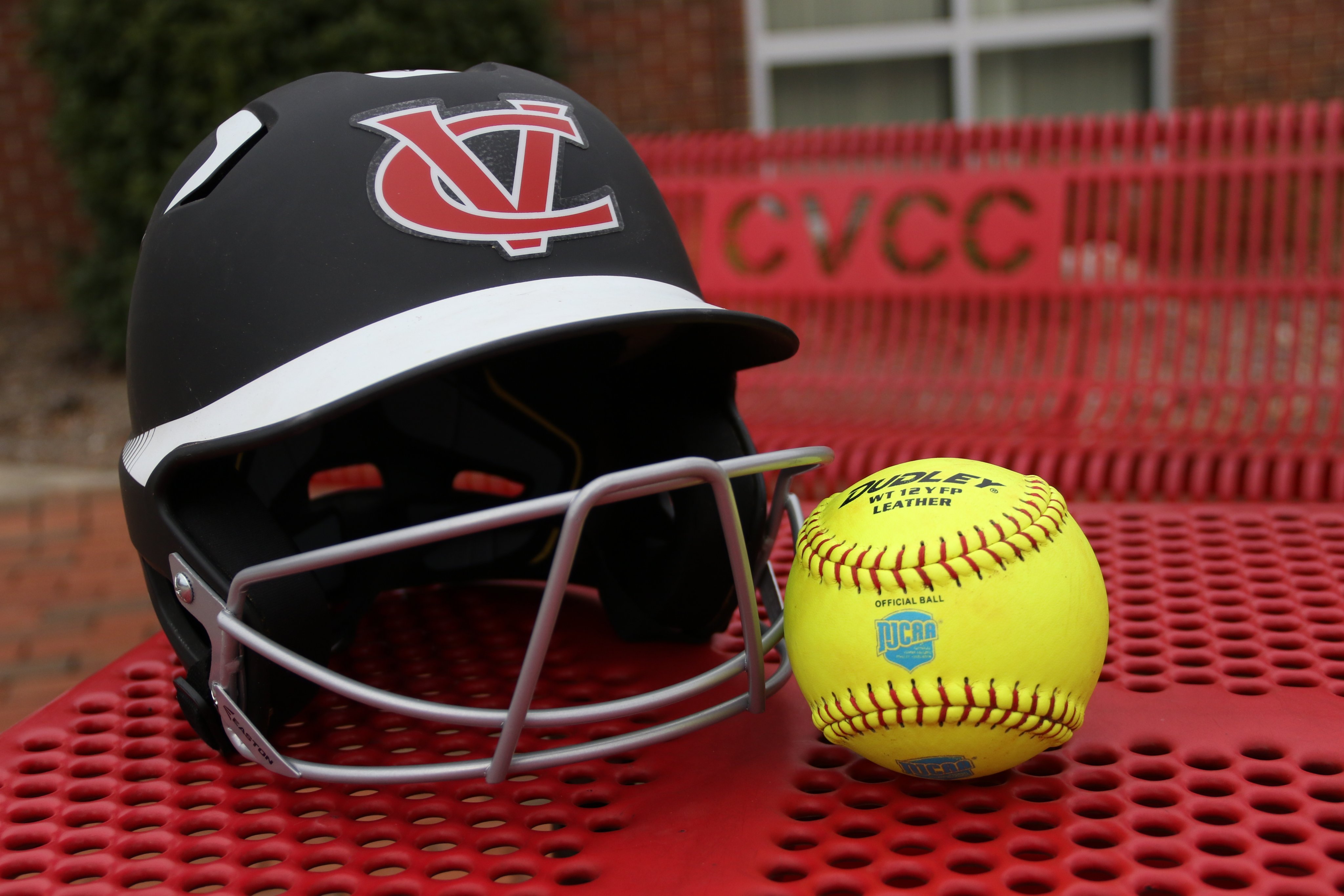 Catawba Valley Community College softball Profile