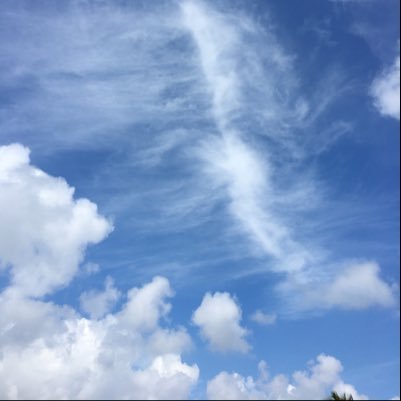 rubywoo43255624's profile picture. 