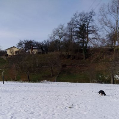 gua2542's profile picture. 