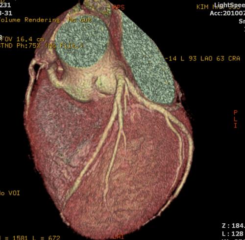 ohchil's profile picture. 잃어버린 길 찾기......