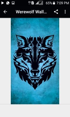 Neal91073524's profile picture. slavador