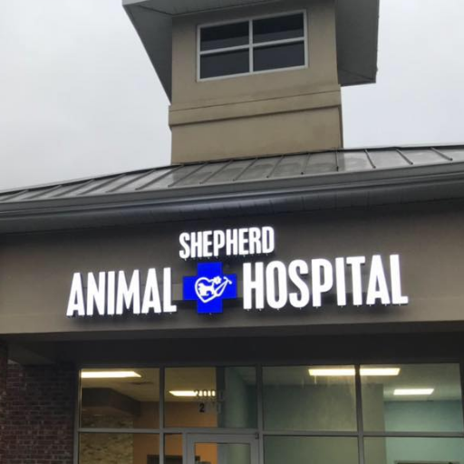 678-580-3001
Full service animal hospital in Duluth, GA 

Come in for some Grand Opening Deals before April!