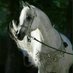 ﮼مريم،الروقي. (@mem52_) Twitter profile photo ﮼مريم،الروقي. (@mem52_) Twitter profile photo